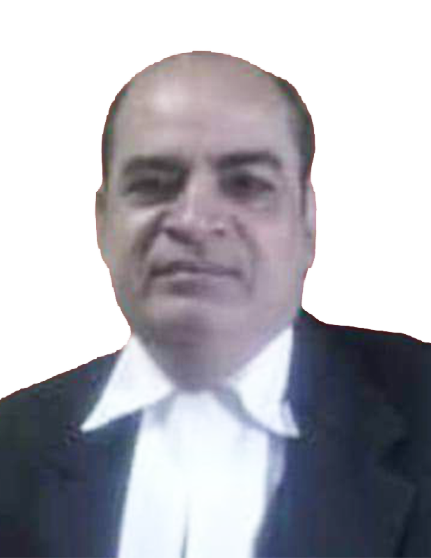 Team Image